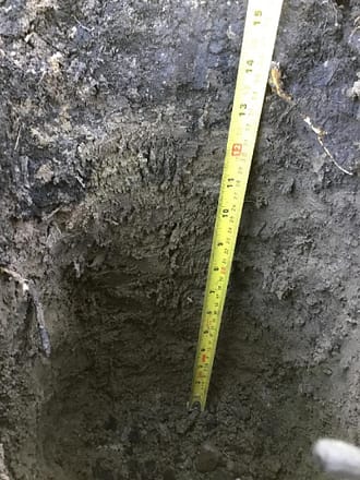 soil pit